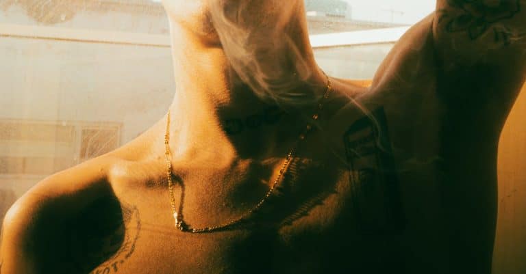 La cigarette électronique peut-elle contribuer à la reforestation?