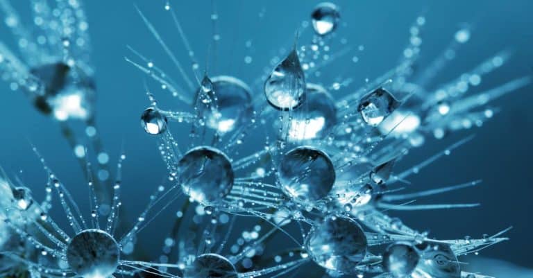 Quels sont les e-liquides populaires à inclure dans votre comparatif ?