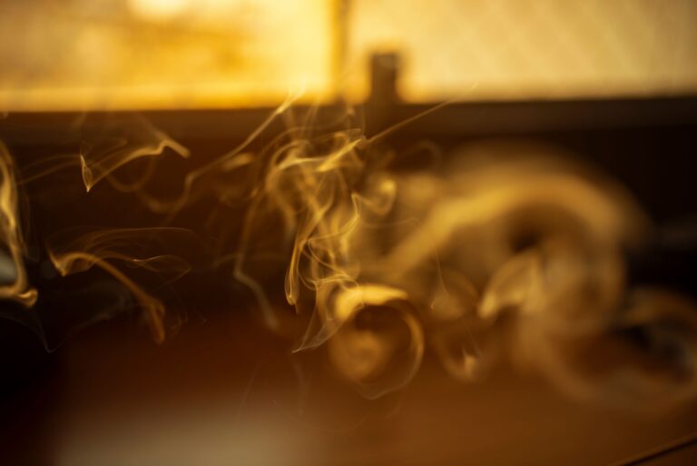 Quelles sont les expositions artistiques liées à la cigarette électronique ?